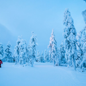 Skifahren in einer unwirklichen Gegend Skifahren in einer unwirklichen Gegend