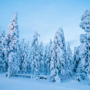 Bei diesen tollen Ausblicken kommen wir kaum zum Fahren Bei diesen tollen Ausblicken kommen wir kaum zum Fahren