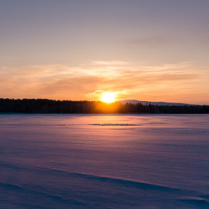 Tolles Licht während der Rentierschlittenfahrt