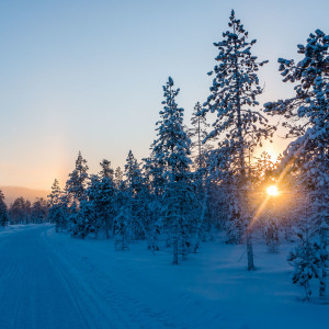 Die Schneemobilpiste in Levi Die Schneemobilpiste in Levi
