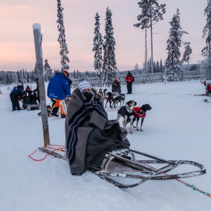 Nadine hat es sich bereits gemütlich gemacht Nadine hat es sich bereits gemütlich gemacht