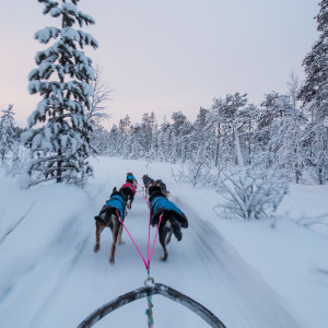 Flott unterwegs Flott unterwegs