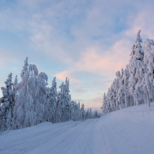 Verschneite Straße in Levi Verschneite Straße in Levi