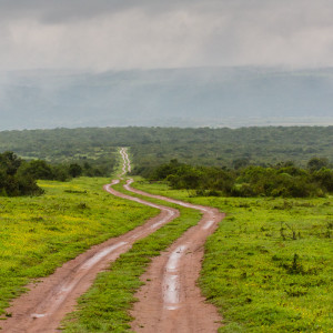 Die Wege im Shamwari Game Reserve Die Wege im Shamwari Game Reserve