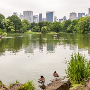 Blick auf die Skyline über den See Blick auf die Skyline über den See