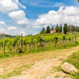 Wunderschöner Hof bei San Gimignano Wunderschöner Hof bei San Gimignano