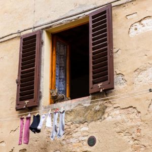 Da ist aber jemand neugierig! Da ist aber jemand neugierig!