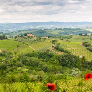 Blick auf das Umland Blick auf das Umland