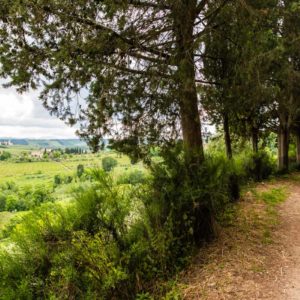 Pfad an der Außenmauer entlang Pfad an der Außenmauer entlang