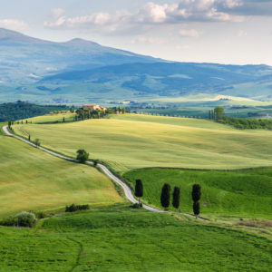 Die Gladiatoren im Abendlicht