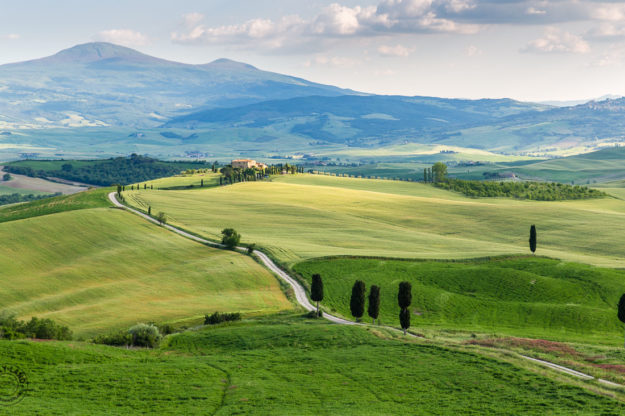 Die Gladiatoren im Abendlicht