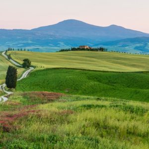 Die Gladiatoren und Aggriturismp Terrapille