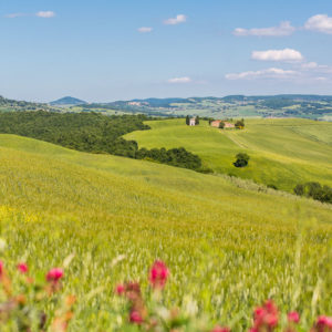 Aussicht auf die Kapelle Vitaleta Aussicht auf die Kapelle Vitaleta