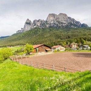 Reiterhof in Schlern