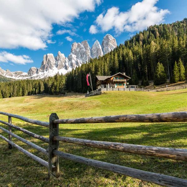 Die Zanser Alm Die Zanser Alm