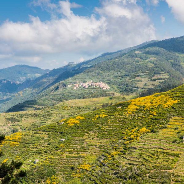 Blick über die Hügel Blick über die Hügel