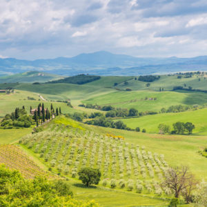 das berühmte Podere Belvedere