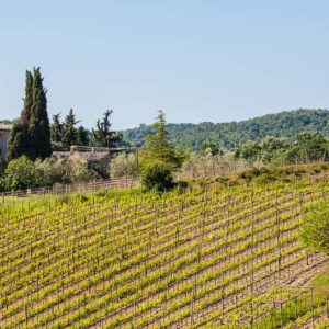 kleine Winzerhütte bei Montalcino