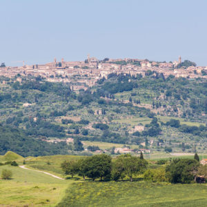 Blick auf Montalcino