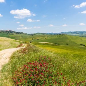 Auf der Wanderung nach Pienza