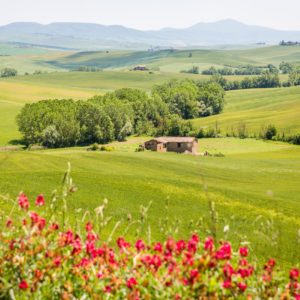 verlassener Hof im Val D'Orcia