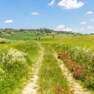 Wir nähern uns Pienza