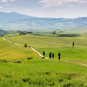 Blick auf die Gladiatoren