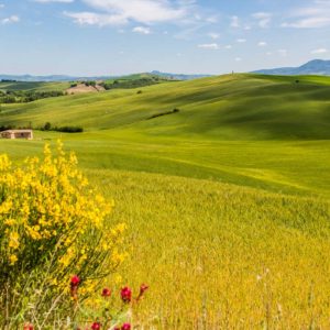 eine Landschaft zum verlieben