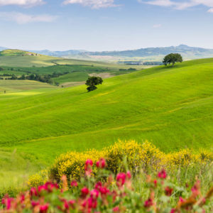 Landschaft entlang der Schotterpiste