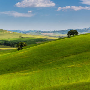 man kann sich daran einfach nicht sattsehen