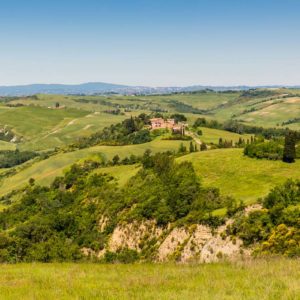 In der Crete Senesi In der Crete Senesi
