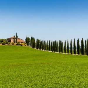 Agriturismo Covili Agriturismo Covili