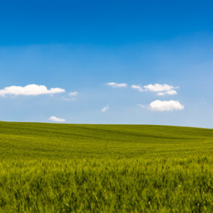 Toskana Impression Toskana Impression