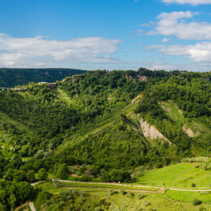 Bagnoregio-Panorama