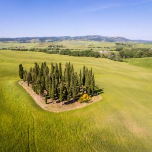 Die einsame Zypressengruppe aus der Luft