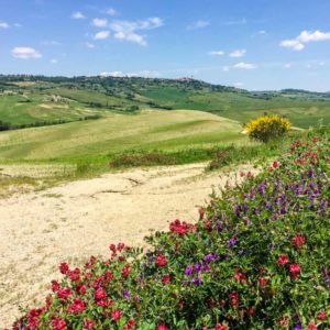 Start unserer Wanderung nach Pienza