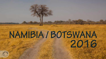 botswana-cover