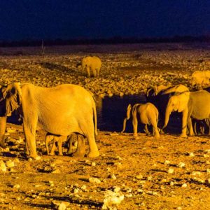 Abends am Okaukuejo Wasserloch Abends am Okaukuejo Wasserloch