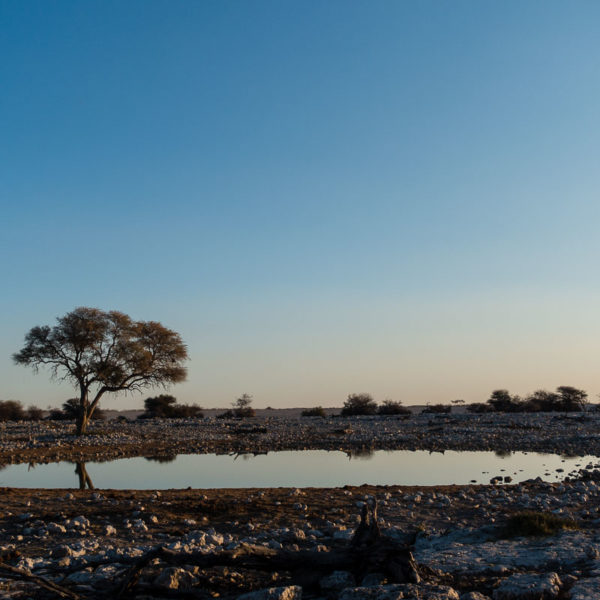 Abendstimmung am Wasserloch Abendstimmung am Wasserloch