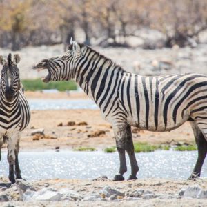 Ist da jemand schwerhörig?