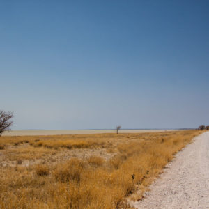 Die Strecke entlang der Etosha Pfanne