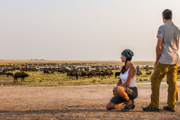 Frühstück mit Büffeln